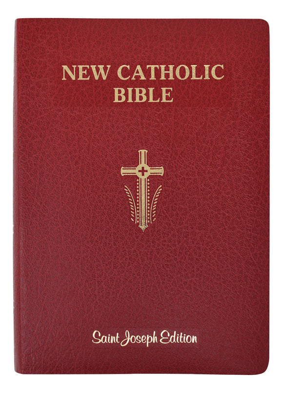 New Catholic Bible