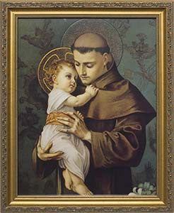 St. Anthony of Padua Picture